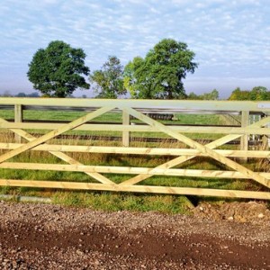 timber field gate