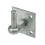 Hanger on Plate